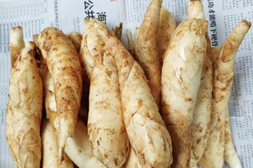 竹根薯的功效與作用、禁忌和食用方法