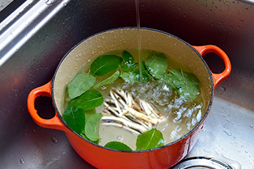 魚腥草與薄荷同煮的功效與作用、禁忌和食用方法