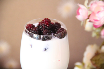 桑葚酸奶的功效與作用、禁忌和食用方法