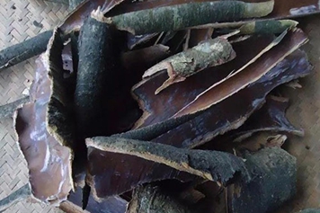 楊梅樹皮的功效與作用、禁忌和食用方法