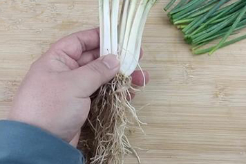 小蔥根須的功效與作用、禁忌和食用方法