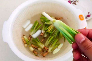 香菜根蔥白薑煮水的功效與作用、禁忌和食用方法