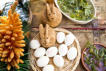 松樹花煮雞蛋的功效與作用、禁忌和食用方法