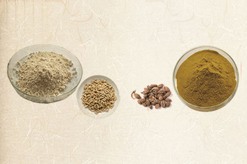 砂仁麥芽細粉的功效與作用、禁忌和食用方法