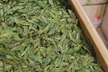 早春龍井茶的功效與作用、禁忌和食用方法