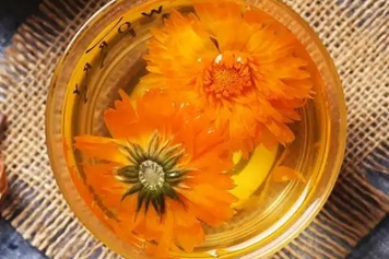 金盞花茶的功效與作用、禁忌和食用方法