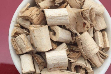 馬桑樹根皮的功效與作用、禁忌和食用方法