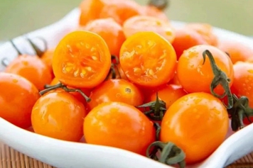 玲瓏柿子的功效與作用、禁忌和食用方法