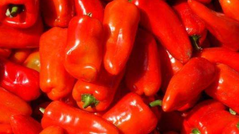 紅辣椒的功效與作用、禁忌和食用方法