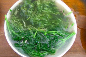 益母蒿子熬水喝的功效與作用、禁忌和食用方法