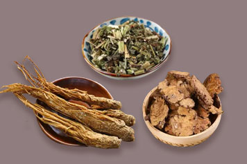 益母草川芎當歸一起煮的功效與作用、禁忌和食用方法
