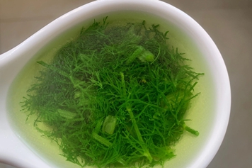 茴香湯的功效與作用、禁忌和食用方法