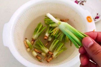 香菜根水的功效與作用、禁忌和食用方法