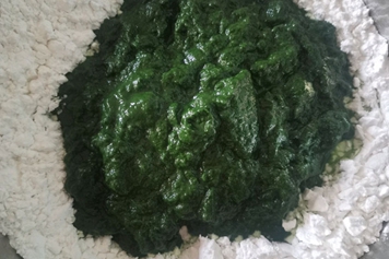 艾葉加糯米粉的功效與作用、禁忌和食用方法