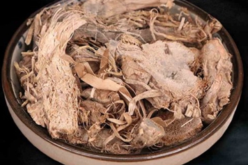 香蒲根的功效與作用、禁忌和食用方法