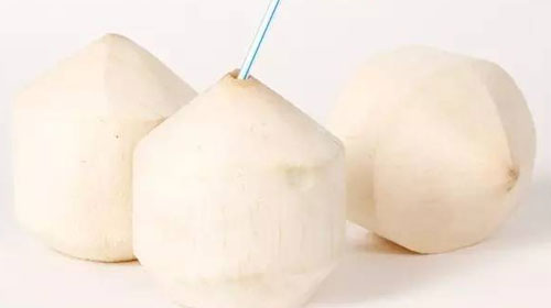 椰青的功效與作用、禁忌和食用方法