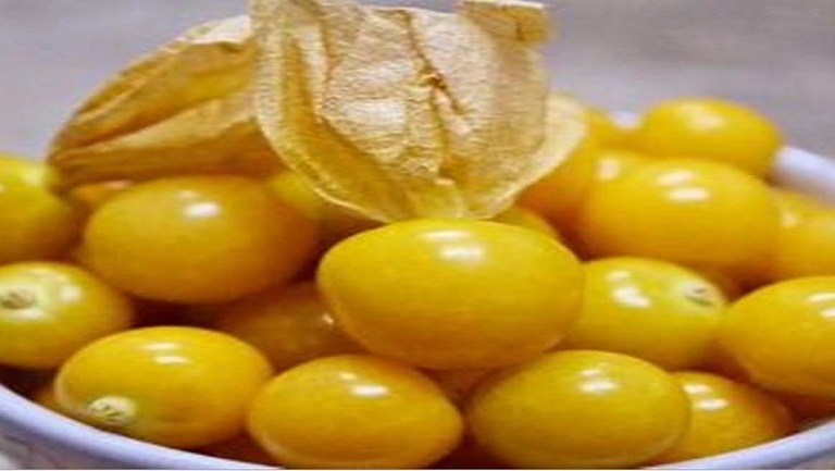 黃姑娘的功效與作用、禁忌和食用方法