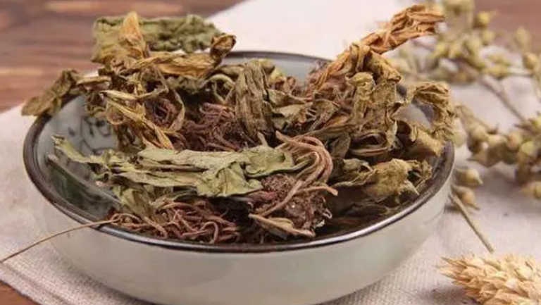 麻黃附子細辛湯的功效與作用、禁忌和食用方法