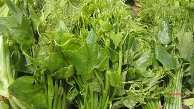 佛手瓜尖的功效與作用、禁忌和食用方法