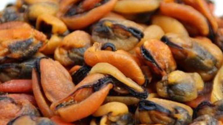 淡菜幹的功效與作用、禁忌和食用方法
