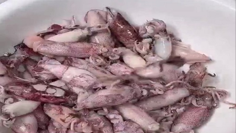 魷魚仔的功效與作用、禁忌和食用方法