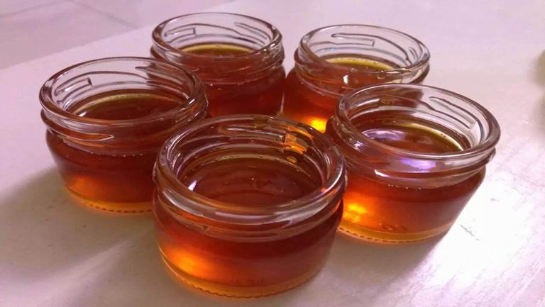 棗花蜜的功效與作用、禁忌和食用方法