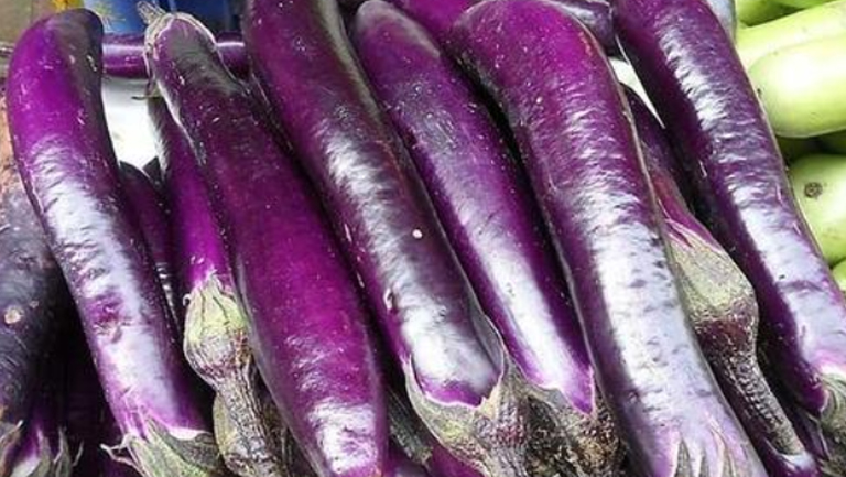 生茄子的功效與作用、禁忌和食用方法