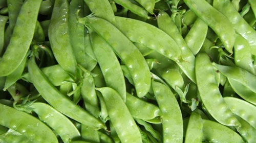 荷蘭豆的功效與作用、禁忌和食用方法