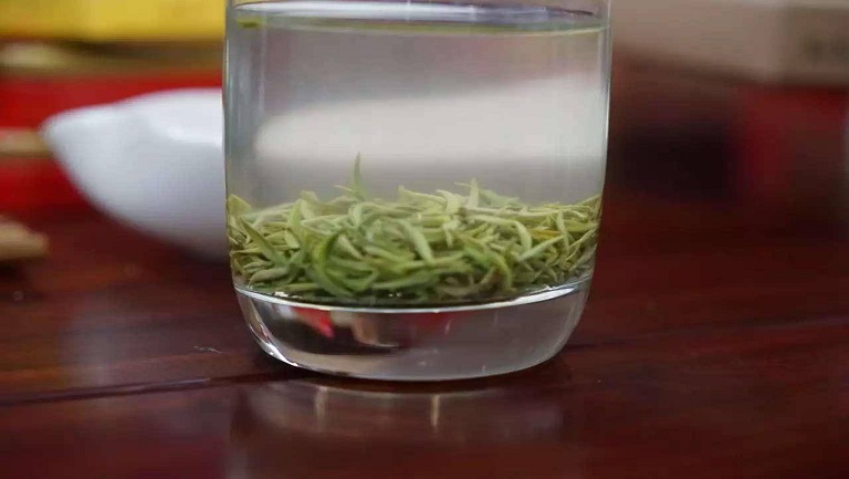 松針茶的功效與作用、禁忌和食用方法