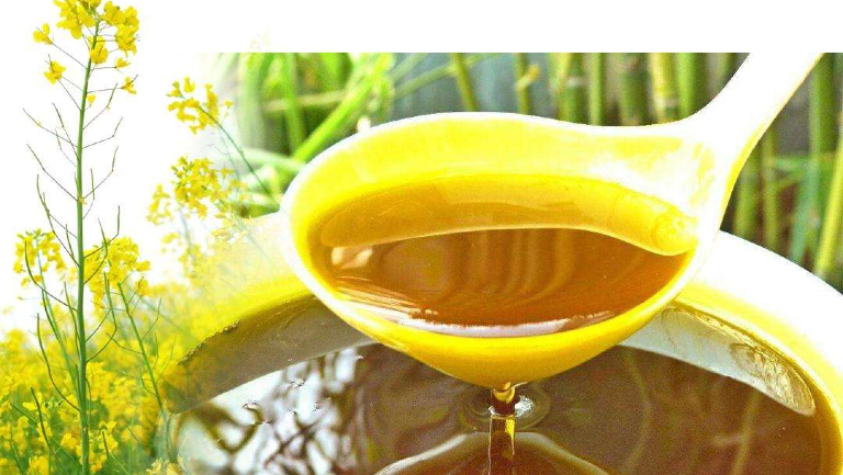 菜油的功效與作用、禁忌和食用方法