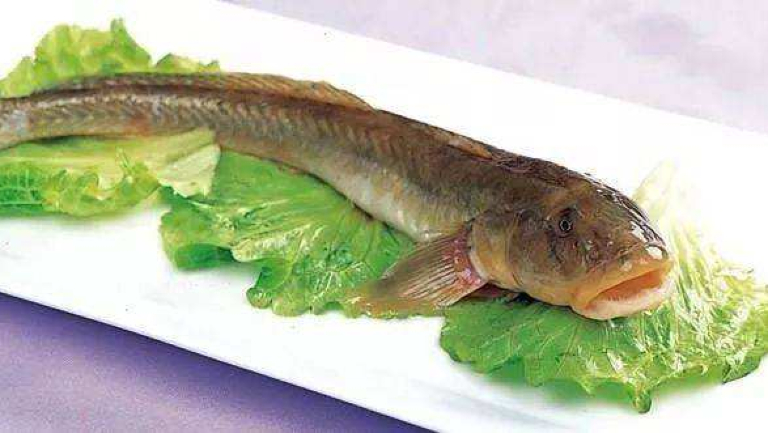 沙光魚的功效與作用、禁忌和食用方法