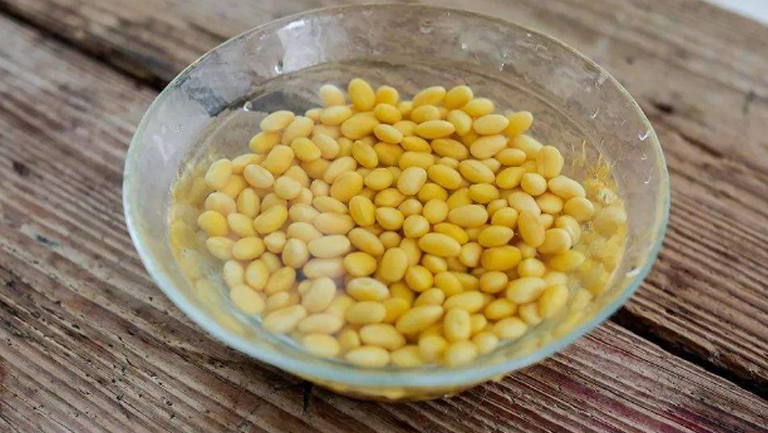 黃豆煮水的功效與作用、禁忌和食用方法