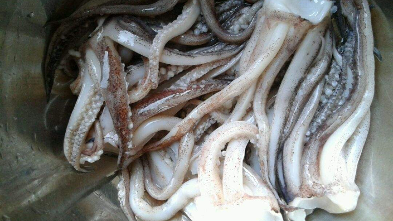 魷魚須的功效與作用、禁忌和食用方法